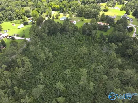 lot B Taylor Cir, Somerville, AL 35670 photo 11