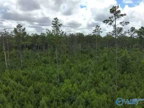 lot B Taylor Cir, Somerville, AL 35670 photo 4