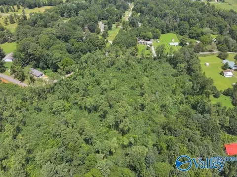 lot B Taylor Cir, Somerville, AL 35670 photo 8