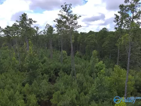 lot B Taylor Cir, Somerville, AL 35670 photo 5