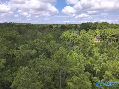 lot B Taylor Cir, Somerville, AL 35670 photo 2