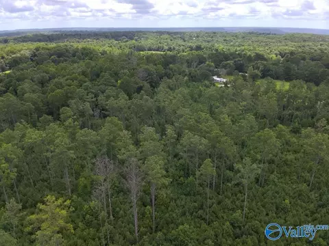 lot B Taylor Cir, Somerville, AL 35670 photo 10