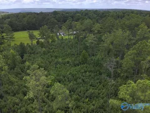 lot B Taylor Cir, Somerville, AL 35670 photo 9