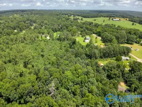 lot B Taylor Cir, Somerville, AL 35670 photo 14