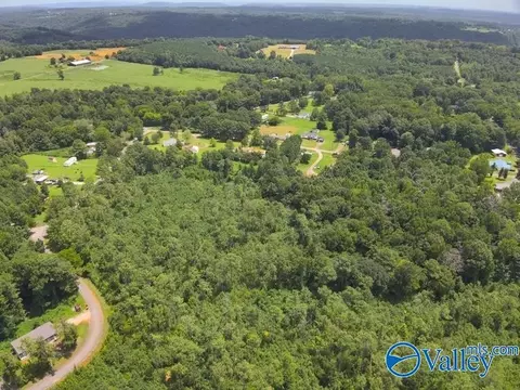 lot B Taylor Cir, Somerville, AL 35670 photo 3