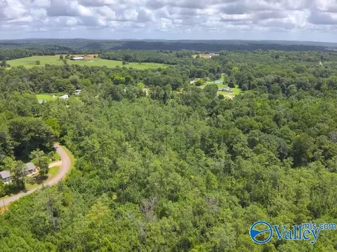 lot B Taylor Cir, Somerville, AL 35670 photo 15
