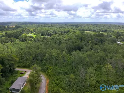lot B Taylor Cir, Somerville, AL 35670 photo 13