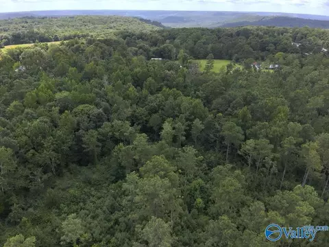 lot B Taylor Cir, Somerville, AL 35670 photo 12