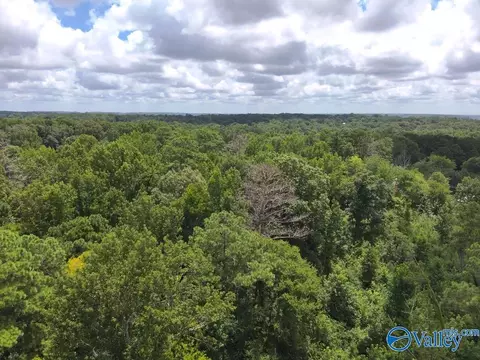 lot B Taylor Cir, Somerville, AL 35670 photo 6