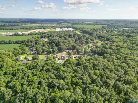View/Area - 265 Forest Home Dr, Trinity, AL 35673 photo 4 of 7
