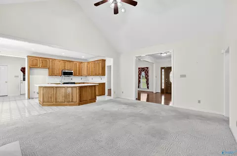 Living - 265 Forest Home Dr, Trinity, AL 35673 photo 4 of 4