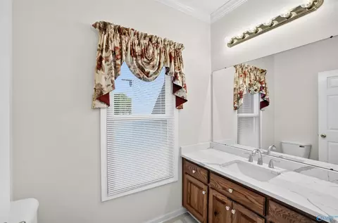 Bath - 265 Forest Home Dr, Trinity, AL 35673 photo 4 of 4