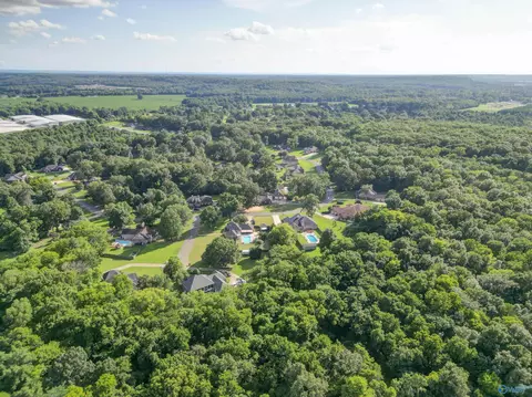 View/Area - 265 Forest Home Dr, Trinity, AL 35673 photo 3 of 7