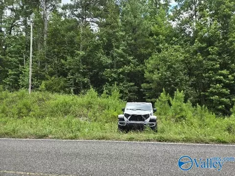 36 Acres Clairmont Springs Rd, Lineville, AL 36266