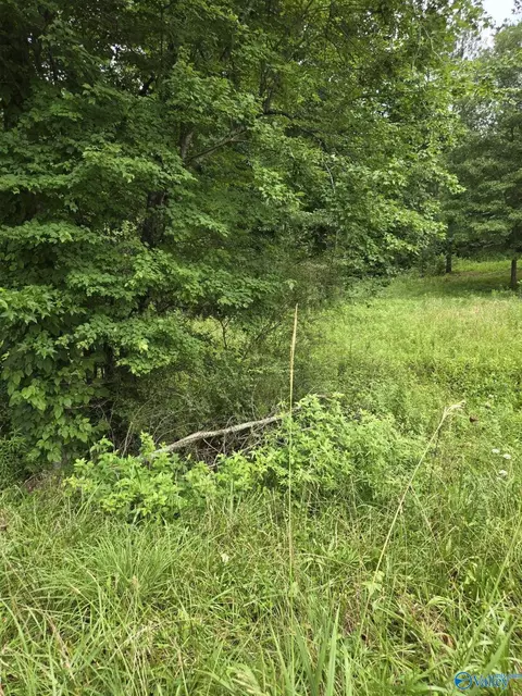 1 Acre Clairmont Springs Rd, Lineville, AL 36266