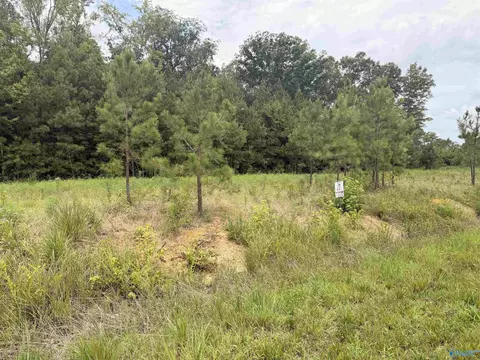 lot58 County Road 32, Piedmont, AL 36272