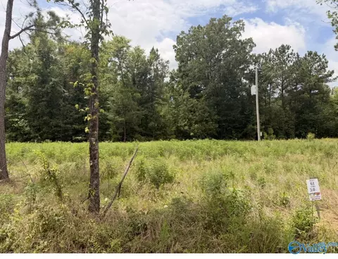 lot61 County Road 32, Piedmont, AL 36272