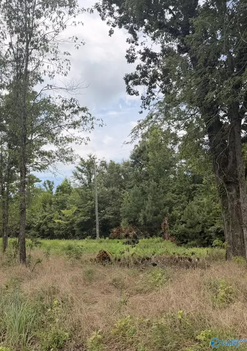 lot59 County Road 32, Piedmont, AL 36272