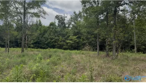 lot60 County Road 32, Piedmont, AL 36272