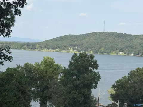 lot25 Yellow Creek Rd, Leesburg, AL 35983
