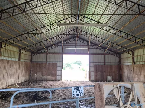 Other - 5380 Highway 55, Eva, AL 35621 photo 7 of 12