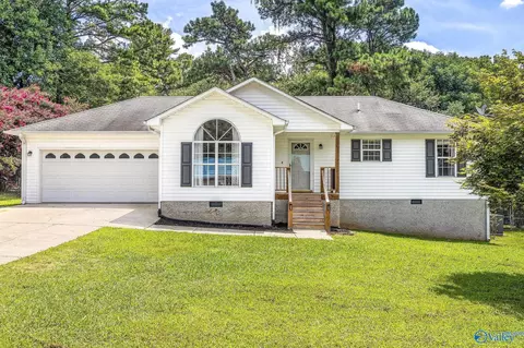 187 Skyhawk Dr, Guntersville, AL 35976