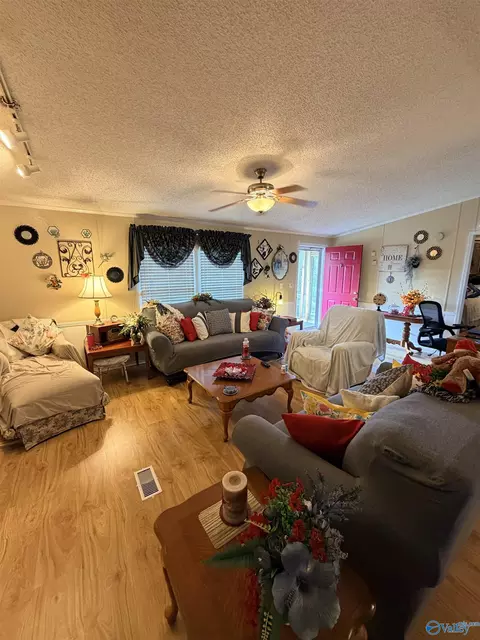 Living - 15 Dorough St, Steele, AL 35987 photo 2 of 2