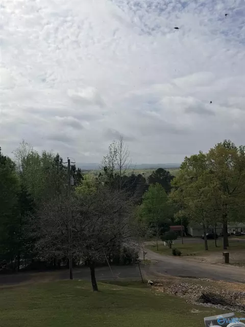 View/Area - 15 Dorough St, Steele, AL 35987 photo 1 of 1