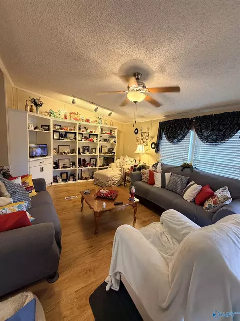 Living - 15 Dorough St, Steele, AL 35987 photo 1 of 2