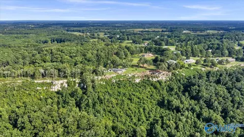 View/Area - 444 Moss View Rd, Section, AL 35771 photo 6 of 10