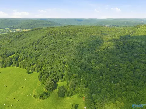 137 Acres Ausby Light Rd, Somerville, AL 35760