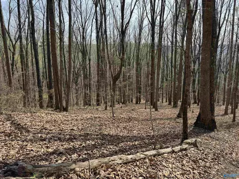 24 9 Paramount Dr, Grant, AL 35747 photo 21