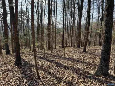 24 9 Paramount Dr, Grant, AL 35747 photo 22