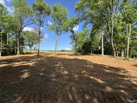 24 9 Paramount Dr, Grant, AL 35747 photo 11