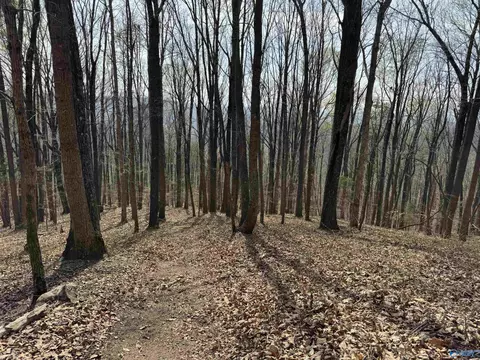 24 9 Paramount Dr, Grant, AL 35747 photo 9