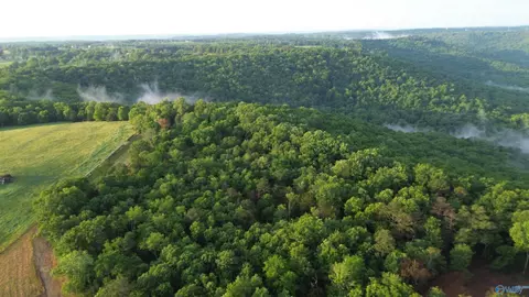 24 9 Paramount Dr, Grant, AL 35747 photo 8