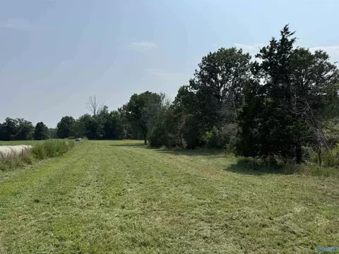 24 9 Paramount Dr, Grant, AL 35747 photo 18