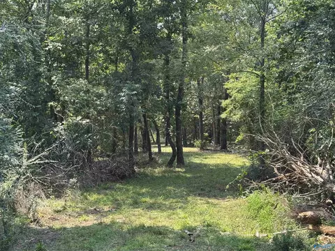 24 9 Paramount Dr, Grant, AL 35747 photo 20