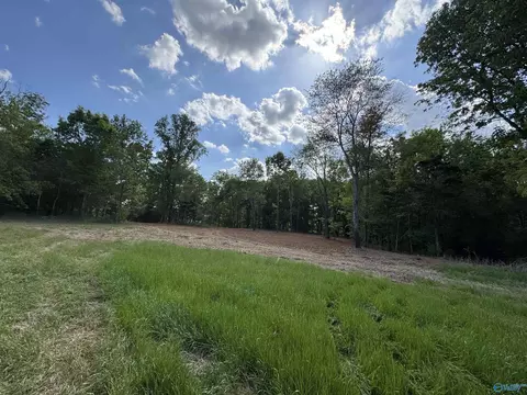 24 9 Paramount Dr, Grant, AL 35747 photo 13