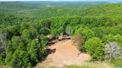 24 9 Paramount Dr, Grant, AL 35747 photo 6