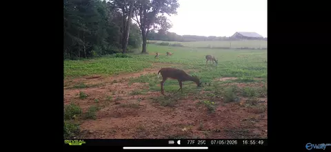 24 9 Paramount Dr, Grant, AL 35747 photo 19