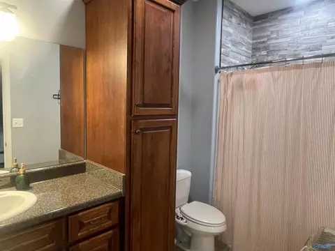 Bath - 71 Forest Hill Rd, Trinity, AL 35673 photo 3 of 4