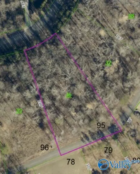 384 Monte Sano Dr, Scottsboro, AL 35769
