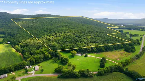 264 Acres Alabama Highway 65, Paint Rock, AL 35764