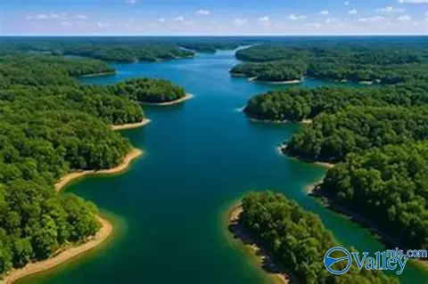 41 Acres Big Bear Branch Rd, Double Springs, AL 35553