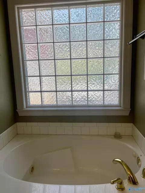 Bath - 176 Forest Home Dr, Trinity, AL 35673 photo 2 of 4