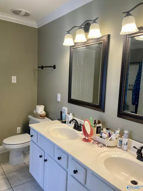 Bath - 176 Forest Home Dr, Trinity, AL 35673 photo 1 of 4