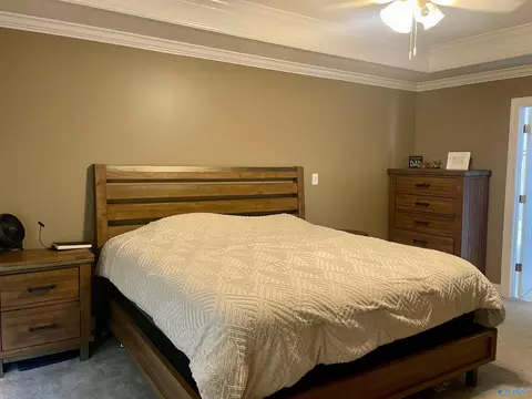 Bedroom - 176 Forest Home Dr, Trinity, AL 35673 photo 2 of 7