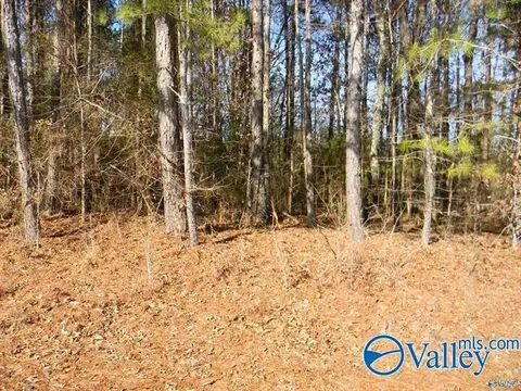 18 52 Acres County Road 41, Gaylesville, AL 35973