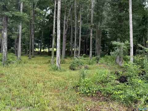 7 Ac Oakley Chapel Rd, New Market, AL 35761